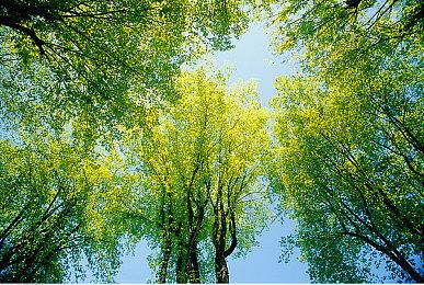 猫咪冒险游戏《迷失》5分钟前瞻视频 游戏7月19日发售